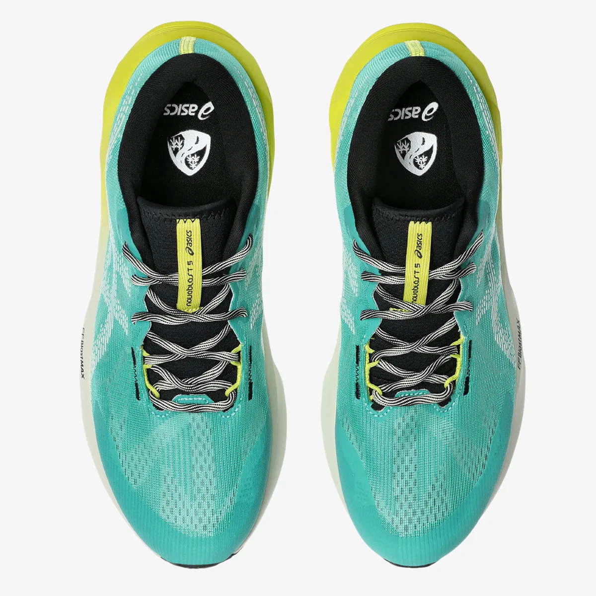 ASICS NOVABLAST 5 TR 