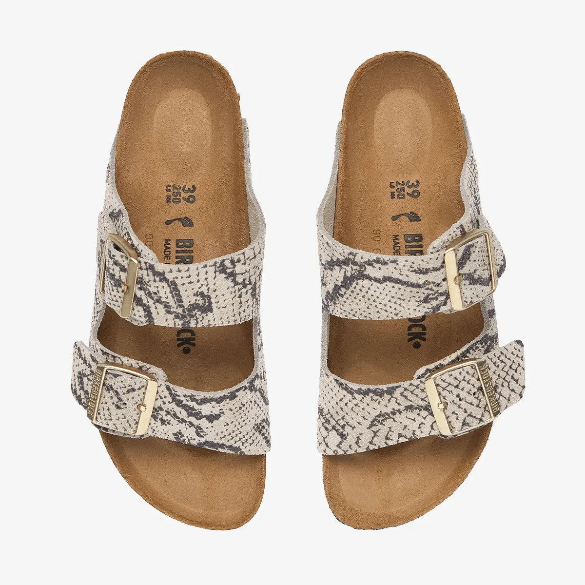 BIRKENSTOCK Arizona Print LEVE Snake Oyster 