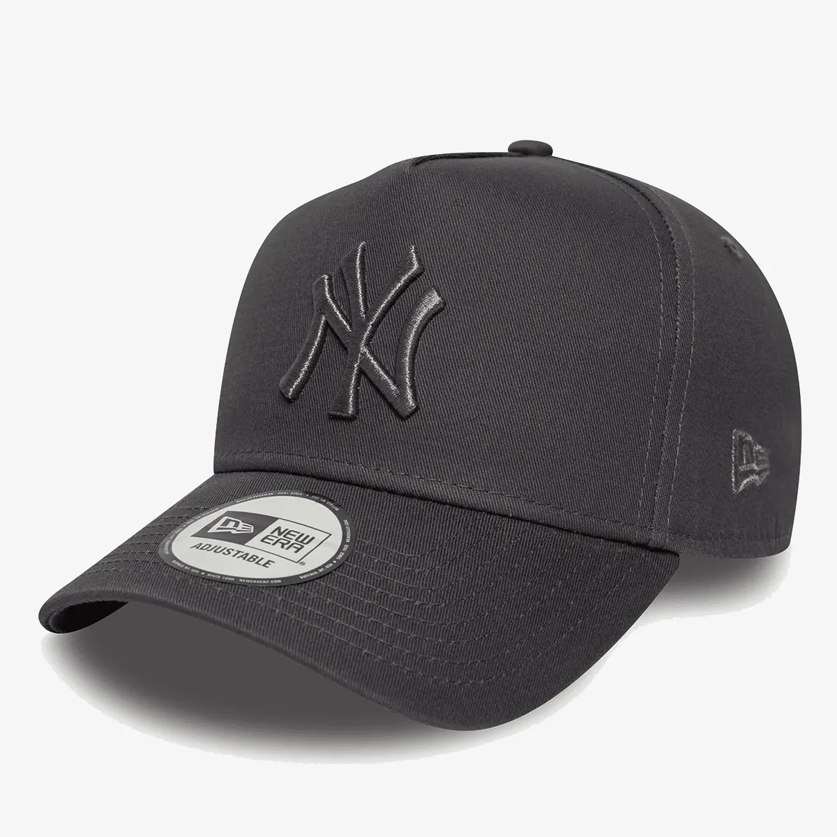 NEW ERA METALLIC E-FRAME 