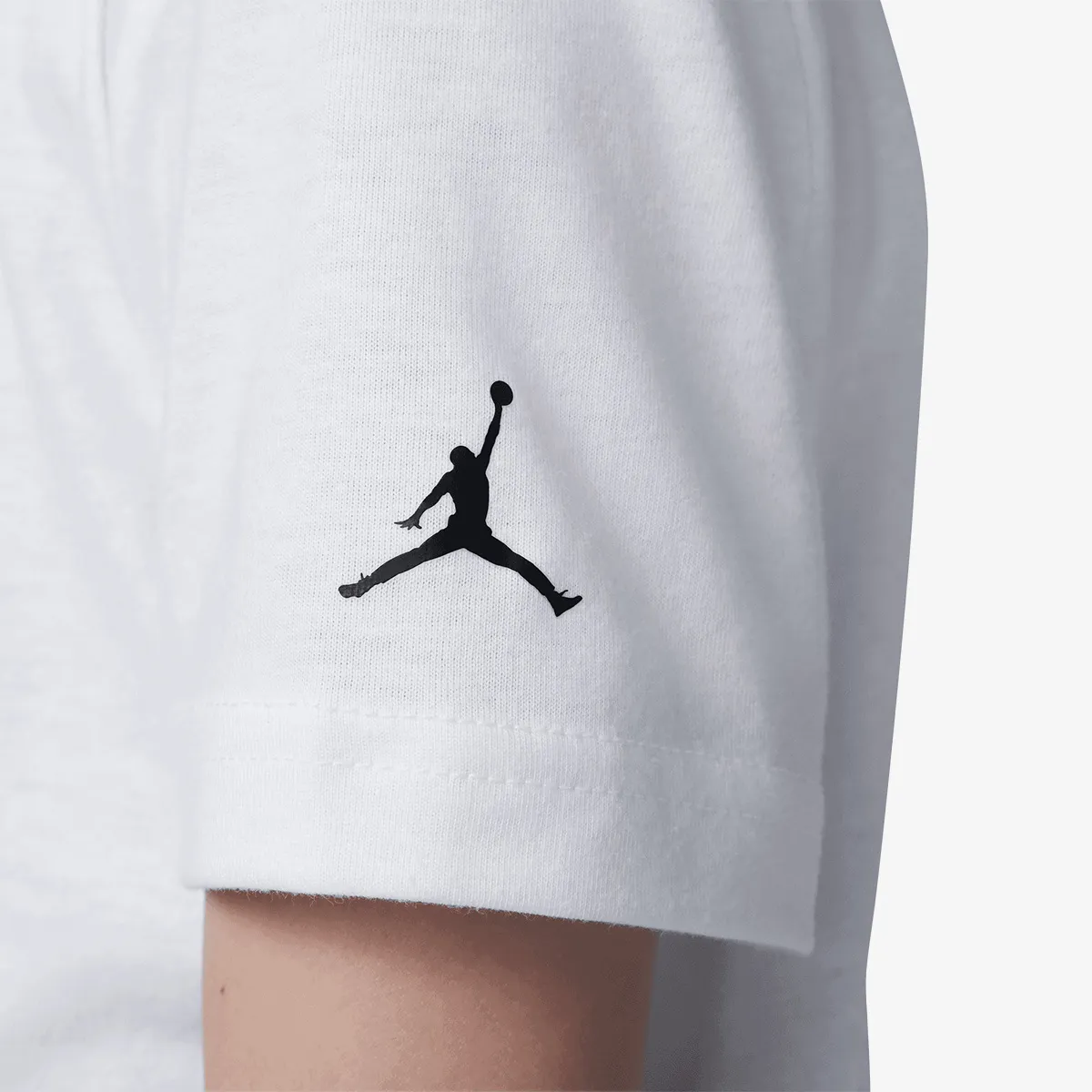 HADDAD JDB AIR JORDAN COMICS DUNK SS 