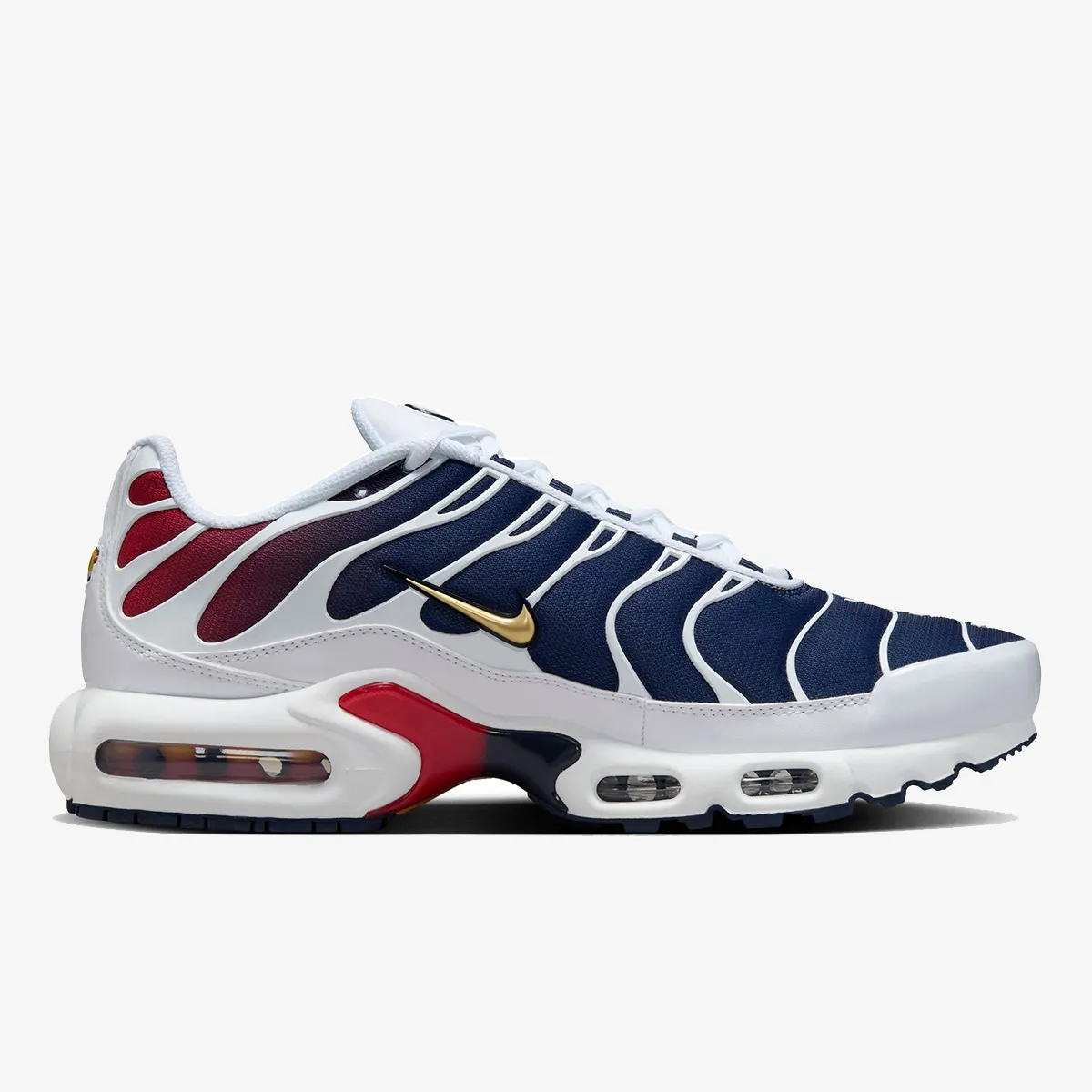 NIKE NIKE AIR MAX PLUS PSG 
