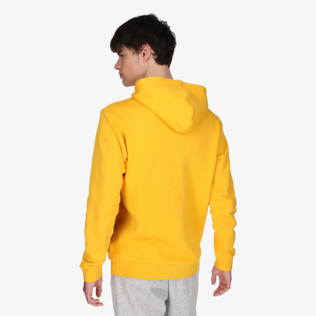 ADIDAS TREFOIL HOODY 