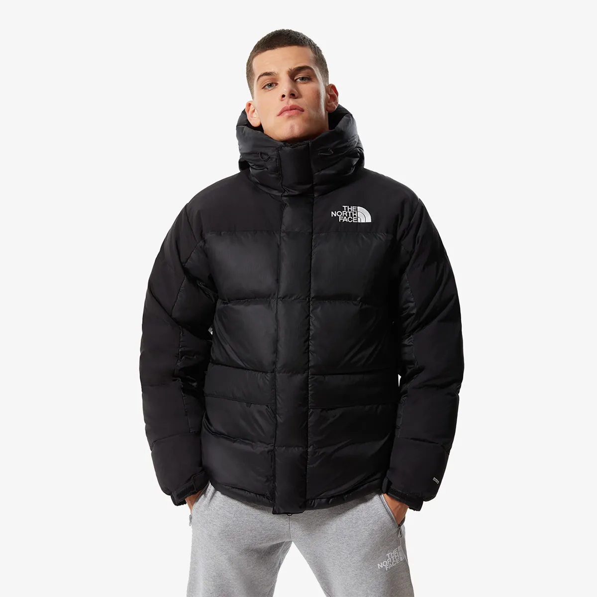 THE NORTH FACE M HMLYN DOWN PARKA 