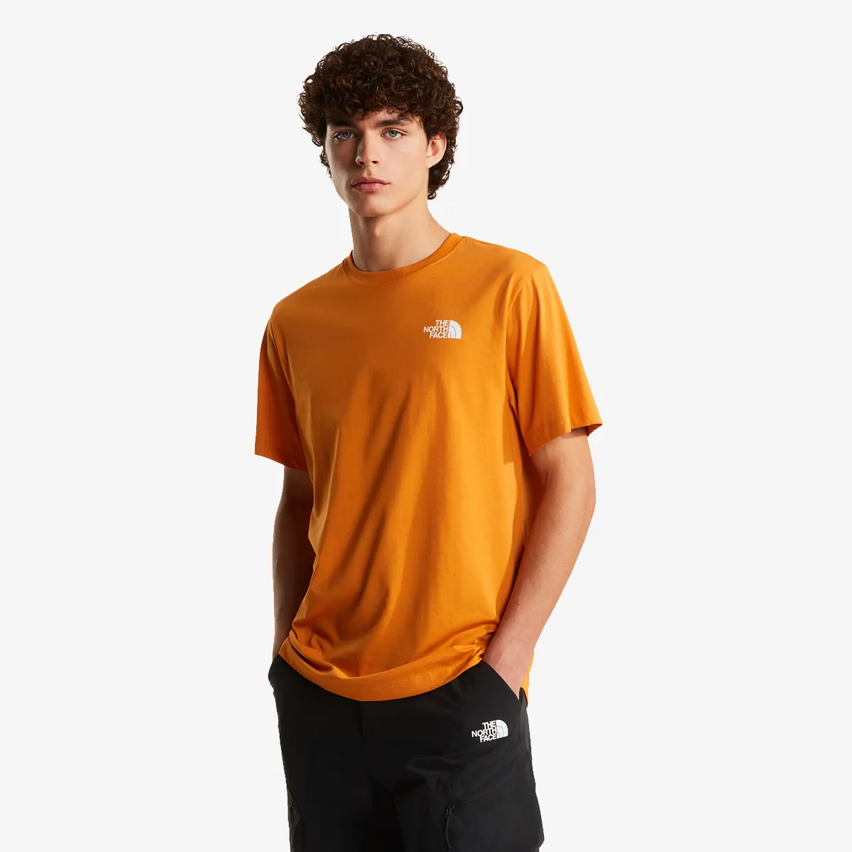 THE NORTH FACE M EVOLUTION BOX NSE REGULAR SHORT SLEEVE 