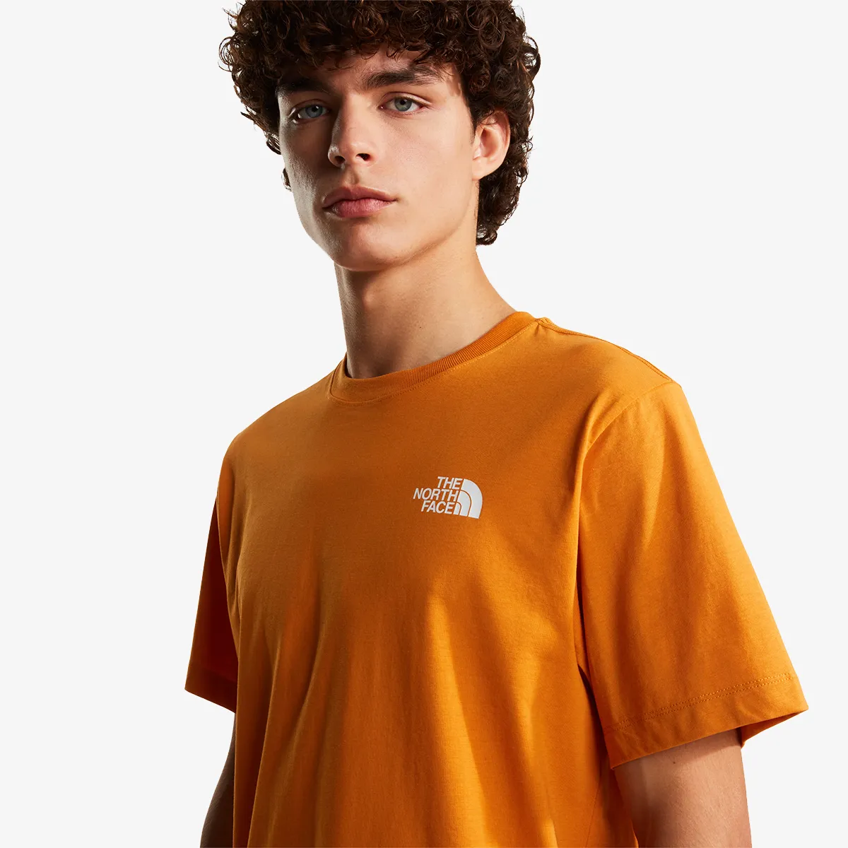 THE NORTH FACE M EVOLUTION BOX NSE REGULAR SHORT SLEEVE 