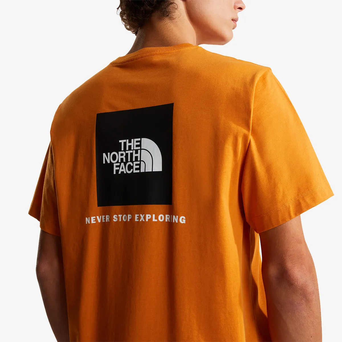 THE NORTH FACE M EVOLUTION BOX NSE REGULAR SHORT SLEEVE 