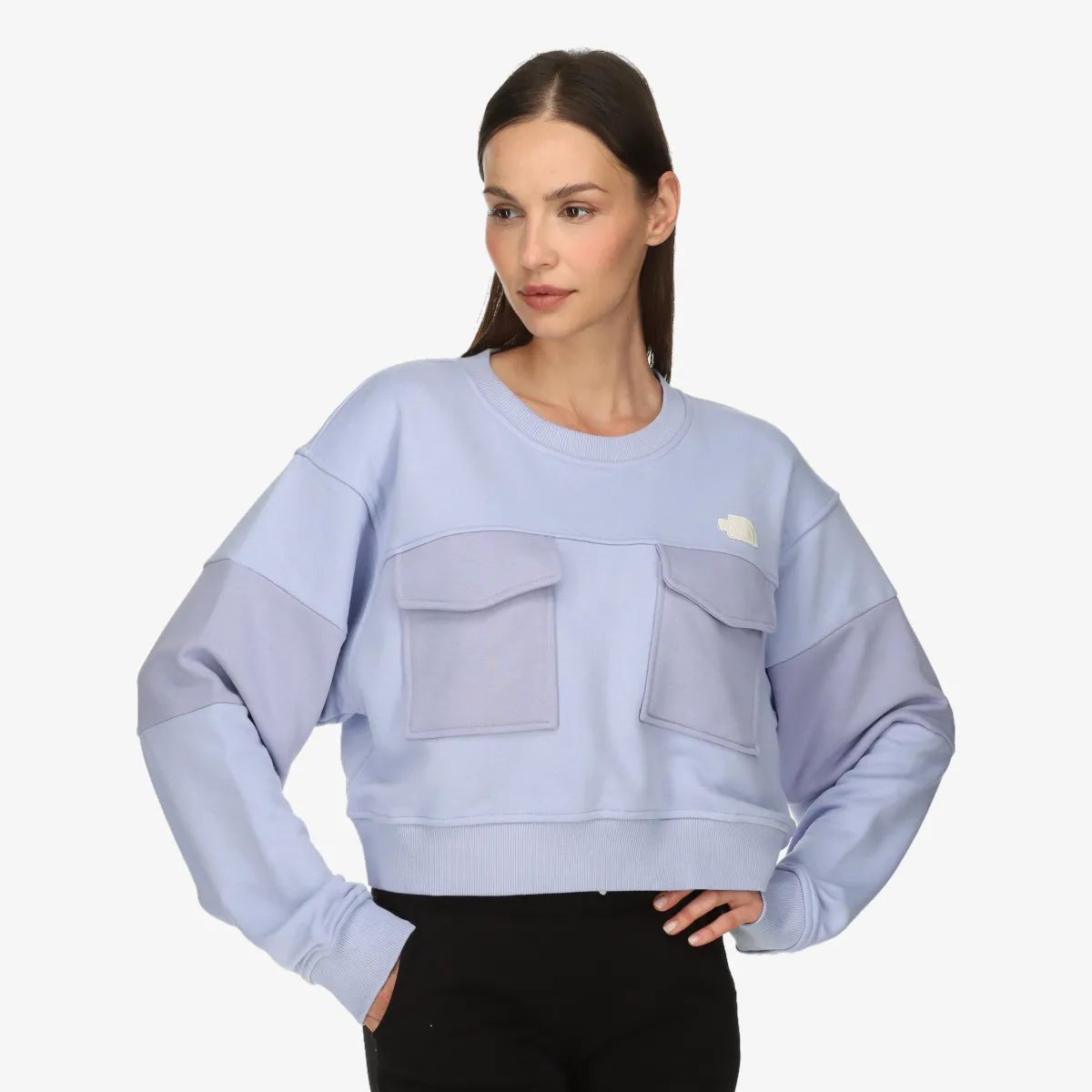 THE NORTH FACE W TERRY OVERSIZED CROPPED CREW 