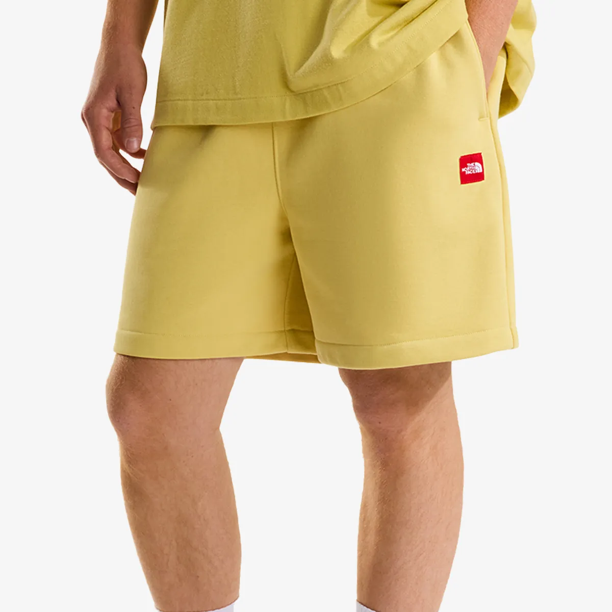THE NORTH FACE M TNF Red Box Fleece Short 