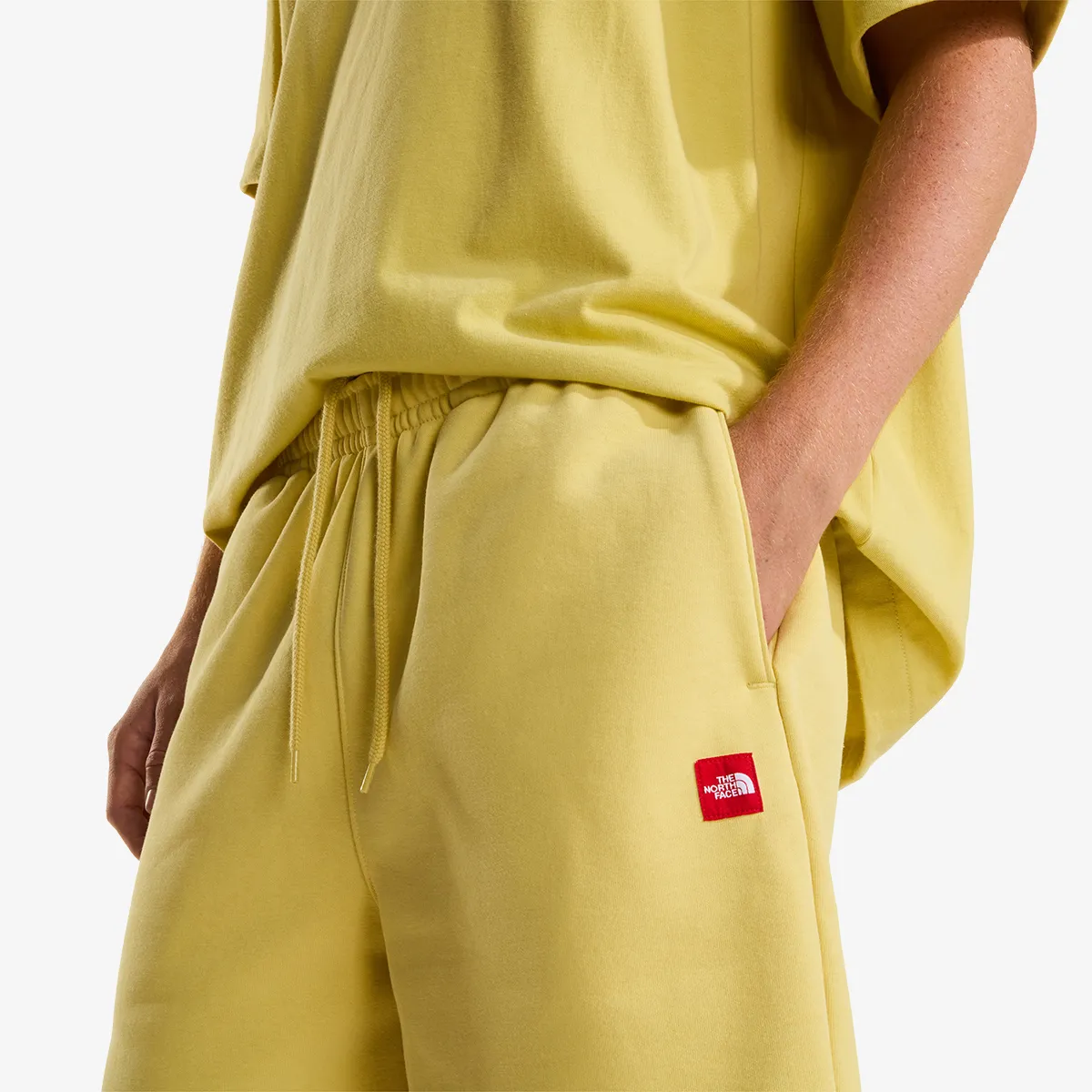 THE NORTH FACE M TNF Red Box Fleece Short 