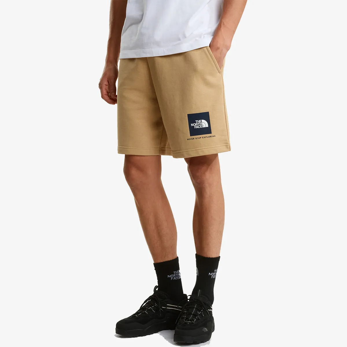 THE NORTH FACE BOX NSE LIGHT REGULAR SHORTS 