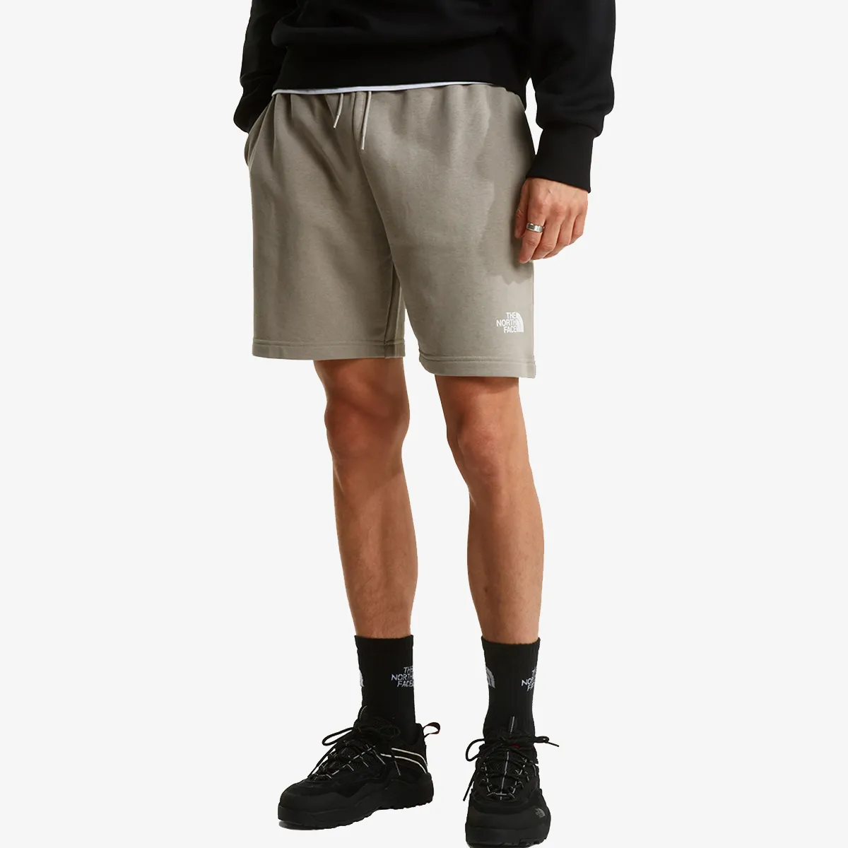 THE NORTH FACE SIMPLE DOME LIGHT REGULAR SHORTS 