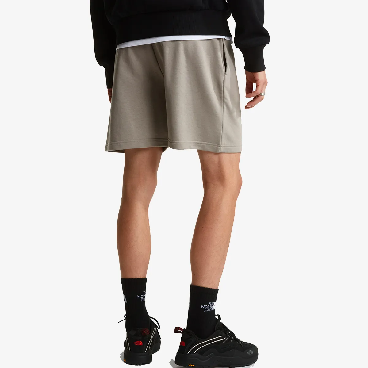 THE NORTH FACE SIMPLE DOME LIGHT REGULAR SHORTS 