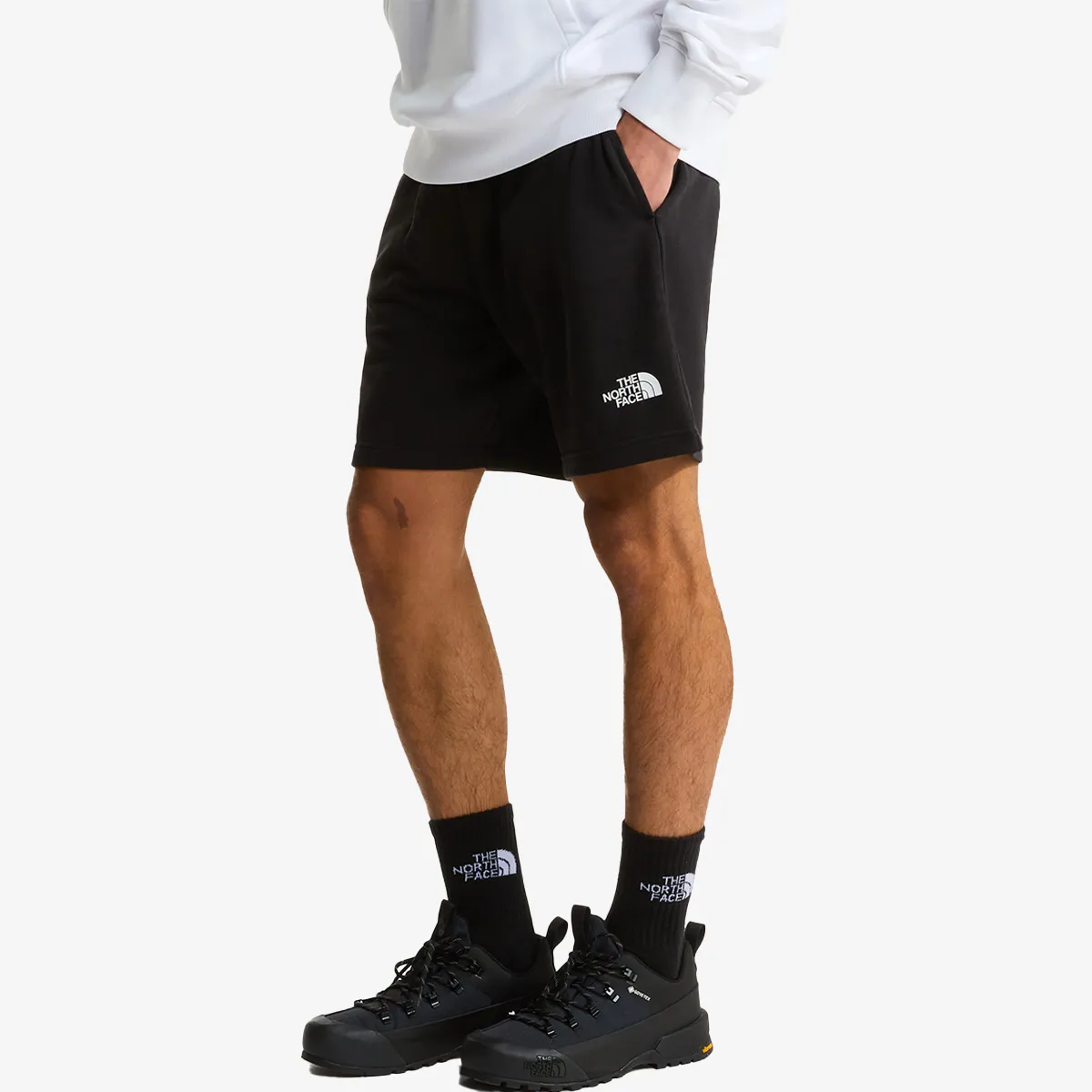 THE NORTH FACE SIMPLE DOME LIGHT REGULAR SHORTS 