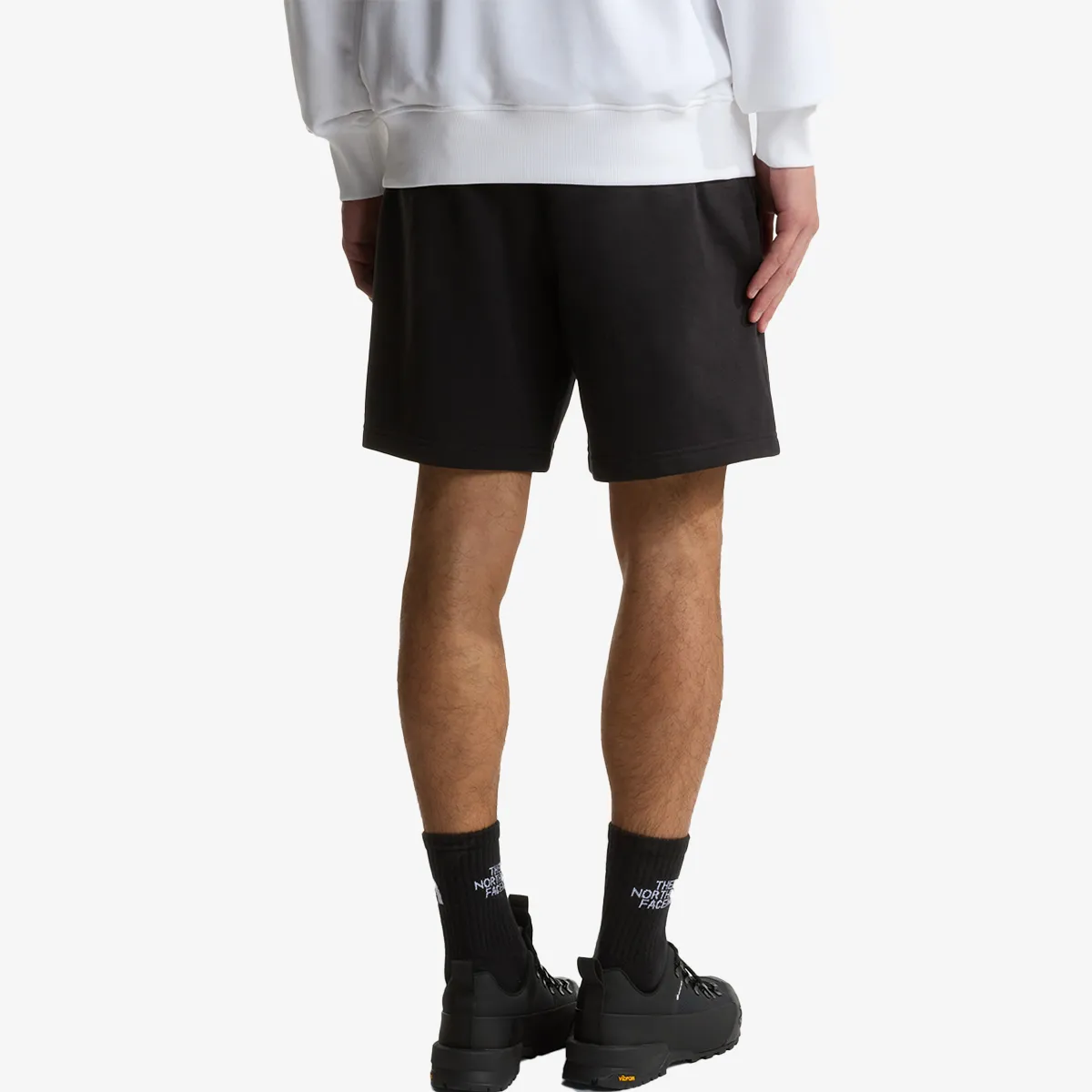 THE NORTH FACE SIMPLE DOME LIGHT REGULAR SHORTS 