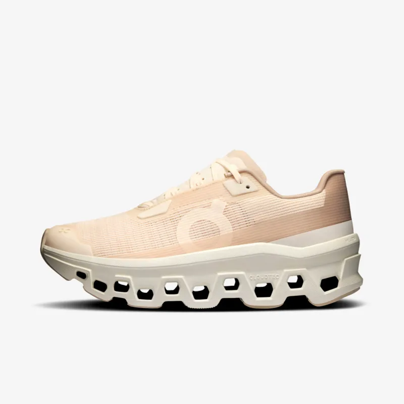 ON Cloudmonster Void 