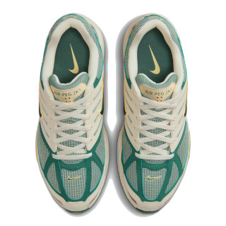 NIKE NIKE AIR PEG 2K5 