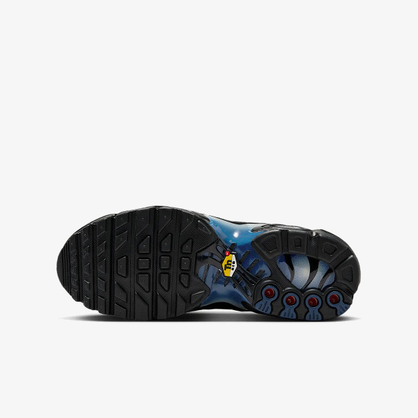 NIKE NIKE AIR MAX PLUS GS MBRS 